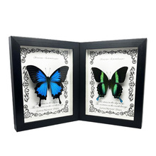 真蝴蝶标本展示框植物昆虫标本立体相框实木摆件盒装饰画生日礼物