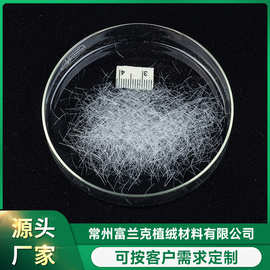 厂家供应玩具工艺品植绒 玩具绒毛 颜色多样 规格多样 价格优惠