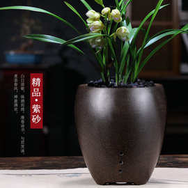 兰花盆陶瓷透气紫砂兰花盆吊兰君子兰春蕙墨达摩兰草兰花