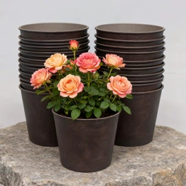 果盘、果篮;花盆容器;盘