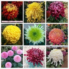 �������ջ������r�������������¾մ����ͺ����B�ļ����m�ջ���