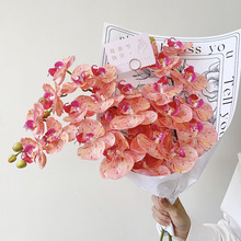 3D�zƬ�ָк����m���滨�ҾӔ[����Y���bٻ�����ٻ��������l