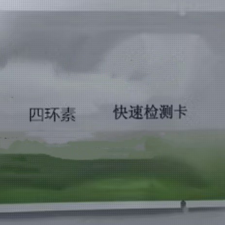 四环素类检测卡10份 金霉素 土霉素 强力霉素抗生素检测试剂 羊尿