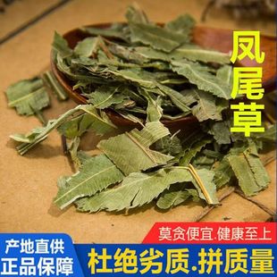 lF؛ Pβ u_ P˲ șȫ ș Pβ ĥ