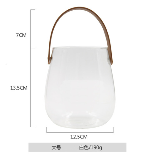 Nordic creative leather portable glass vase hydroponic plant flower container glass dry flower craft creative home