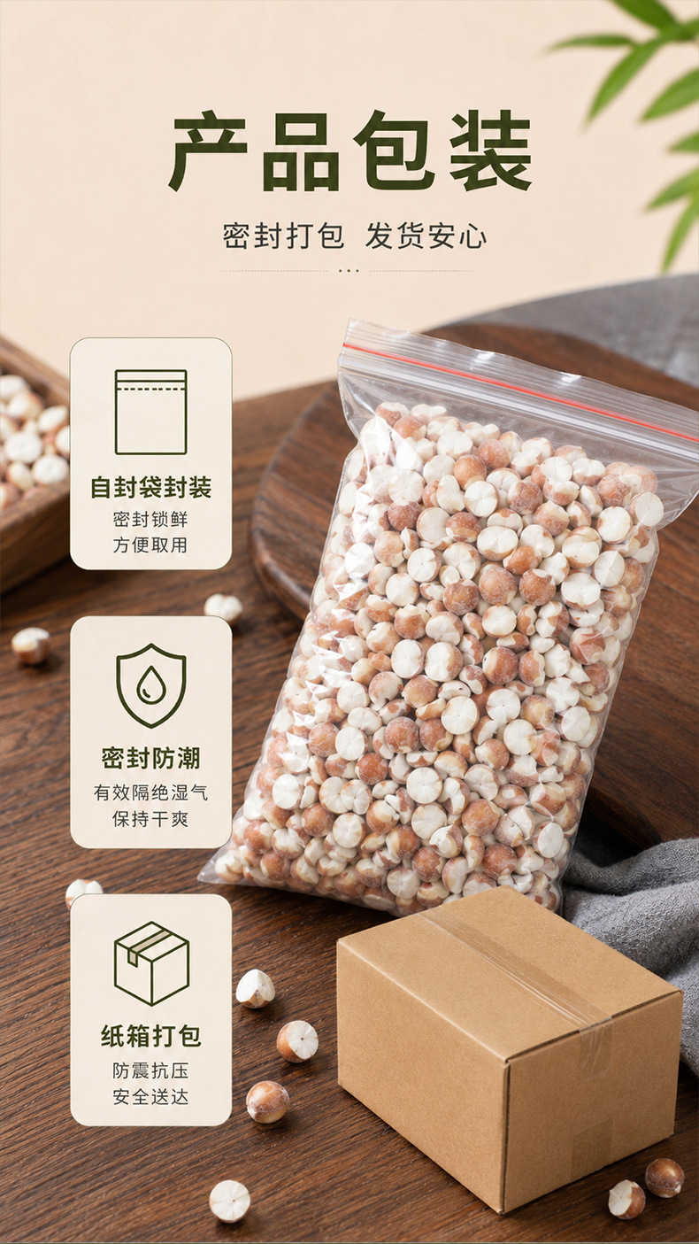 Organic Dried Gorgon Fruit Qian Shi 9mm Large Granules 500g Premium Red Skin Euryale Seeds in use