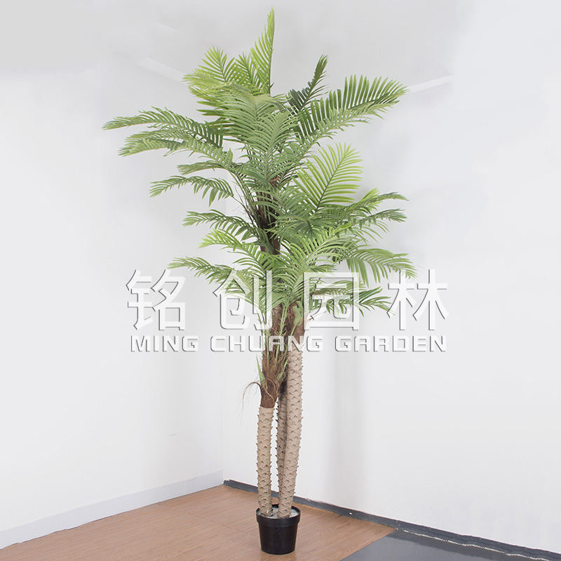 Árbol de coco de 3 M 3 Rod