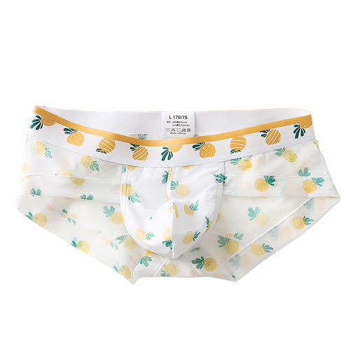 Men's briefs low-waist transparent mesh boys' underwear lace print youth trendy sexy transvestite underwear