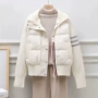 新款保暖冬季外贸棉服