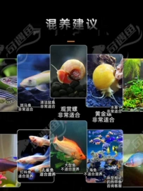 过家家玩具;童车座椅配件;积木类