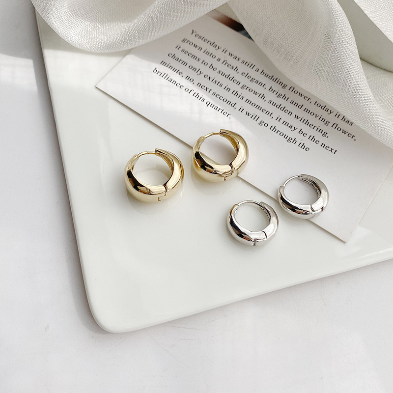 Personalized Simple Circle Earrings Women's South Korea New Style Elegant Niche Design Sense Internet Celebrity Circle Geometric Earrings