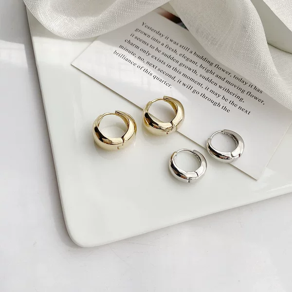Personalized Simple Circle Earrings Women's South Korea New Style Elegant Niche Design Sense Internet Celebrity Circle Geometric Earrings