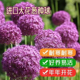 ���[���m�M�ڷN���ͺ���������ֲ��ͥԺ��������ļ��׻���ֲ