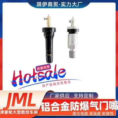 Changan Auchan Roewe Mingjue TPMS Təkər Təzyiq Sensoru Hava Klapanı