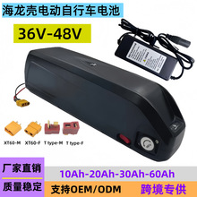 48V20AH电动车锂电池山地自行车36V海龙一号二型动力 锂电池组