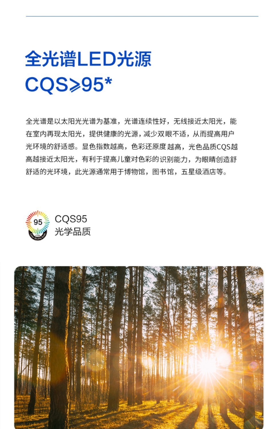 244ac315f1251a5483ac12ced3e13af3.jpeg