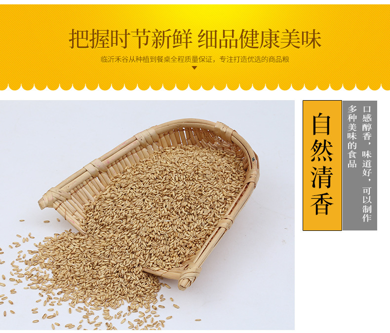 Hulled Oat Groats Yan Mai Ren 燕麦米 Low Temperature Roasted Whole Grain for Milling and Porridge 25kg Bulk Bag specifications