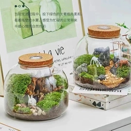 微景观瓶;玻璃杯;密封盒储物罐