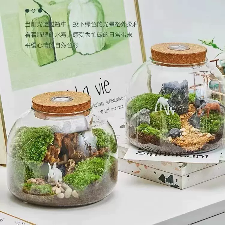 定制微景观生态瓶苔藓植物玻璃花瓶水培植物玻璃瓶鱼缸摆件斗鱼瓶