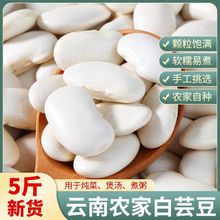 大白豆白芸豆云南农家自种五谷杂粮煮粥煲汤大白云豆干货产批发