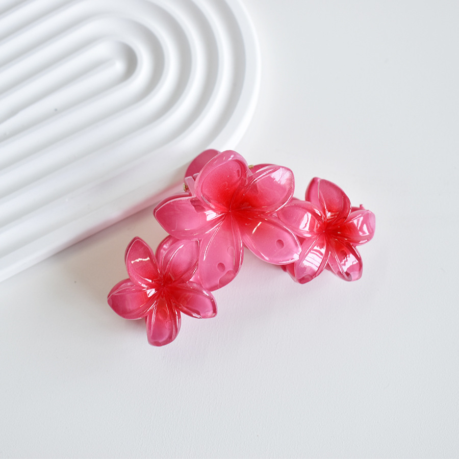 86g Weight Hair Clip, Hair Claws Hair Accessories Type 1 Piece Quantity Holiday, Daily, Selfie Occasion Plastic Material Flower, Fish, Shark, Plumeria Pattern All Seasons Season Women's Gender Cute Style Cute Women's Flower Fish Shark Plastic Hair Clip Hair Claws 17
