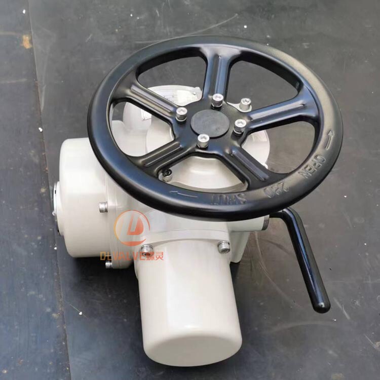 Valve Electric Actuator Valve Electric Device Dzw10 Dzw15 Dzw20 Models Complete