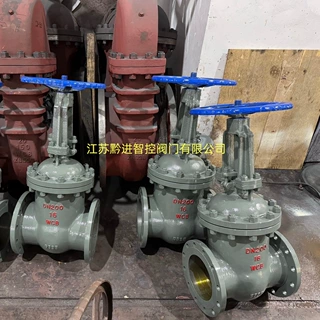 Z41H-25C DN300全通径明杆楔式闸阀 单闸板结构 WCB加厚阀体