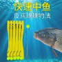 金湾大鲤鱼浮球鲢鳙