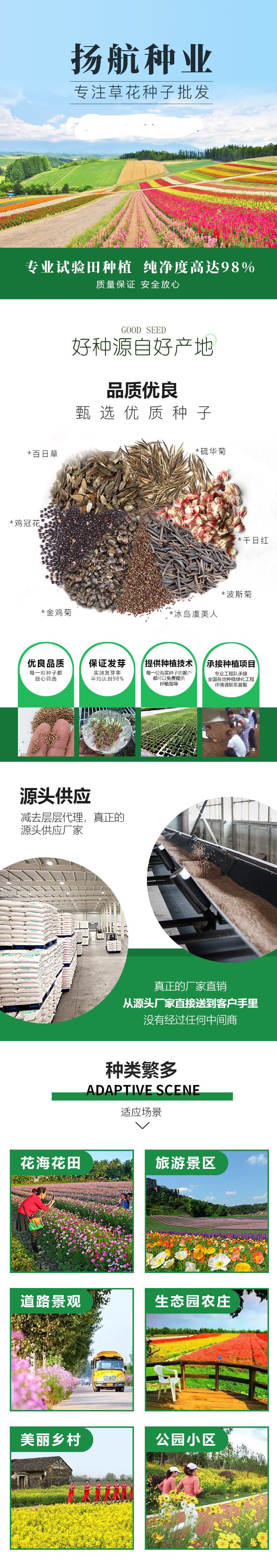 草花种子详情开头原图