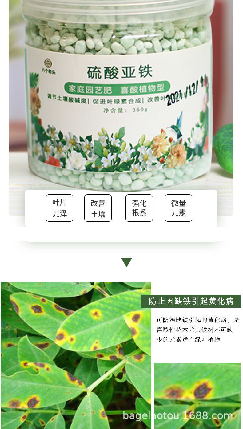 详情图片_3.jpeg