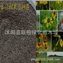 ���l��ԭ�ɹ��շN�� ���ȹ ������ԭ��ֲ���ļ��̨ͥԺ���Ի���