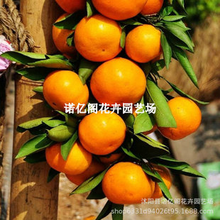 ���Ә��� �Rˮ�ۘ��� ꖴ������ �Rˮ������ �ϱ����Nֲ����Y��