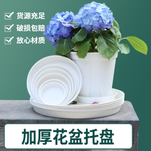 �Ӻ����ϻ����бP���l ����A�ζ��⻨��������ϵױP��ˮ�P����