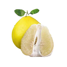 福建广西白心柚新鲜水果白心蜜柚包邮产地直发白心柚一件代发