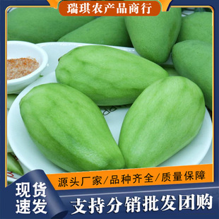 ����â����â������â����â����Ұ����ɳ�Խ�ϴ���â�����Դ���