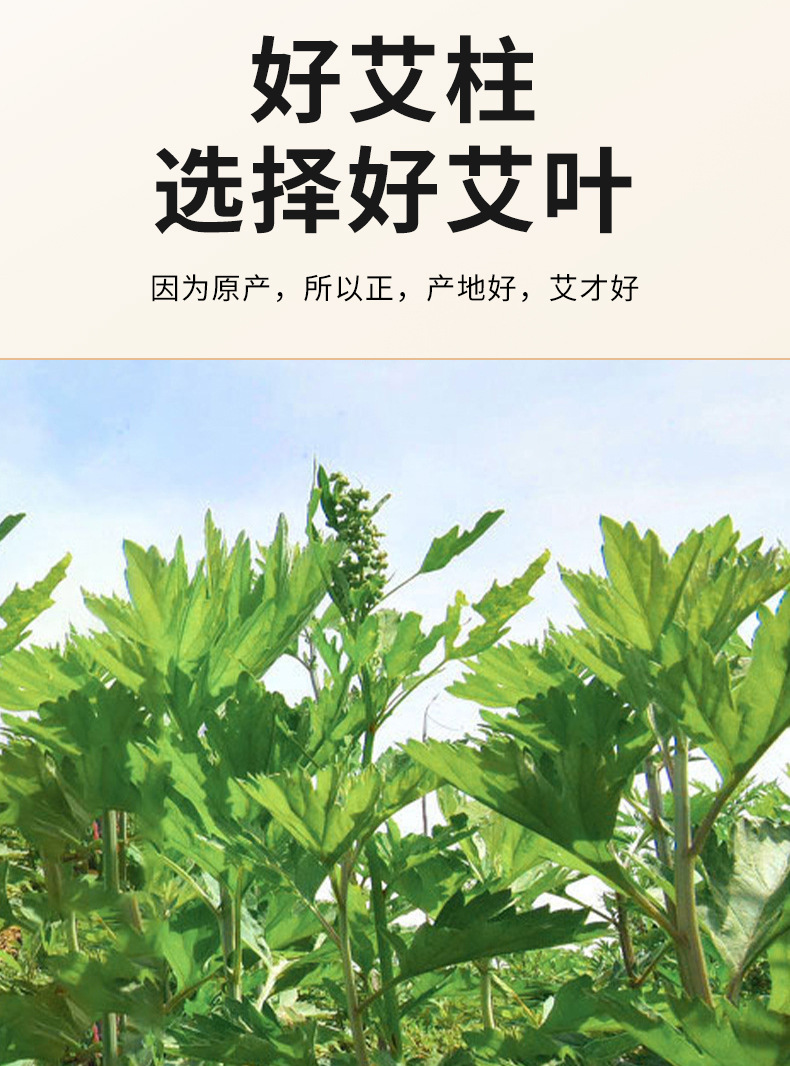 40:1 Moxa Cones Ai Zhu 5-Year Aged Mugwort 54 Pieces Moxibustion Stick for Warming Therapy key features