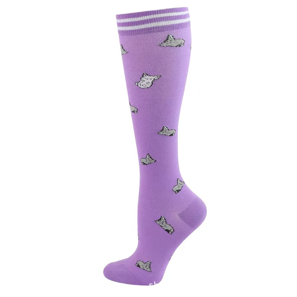 줄무늬 Luokou 보라색 고양이