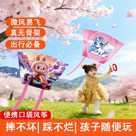 风筝;其他运动休闲