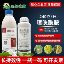 剑牌乐佳240克/升噻呋酰胺水稻药纹枯病杀菌剂塞夫噻呋先胺酰铵铣