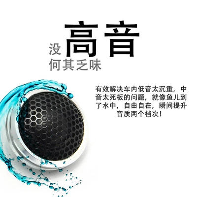 Car horn/tweeter Car Audio modification treble