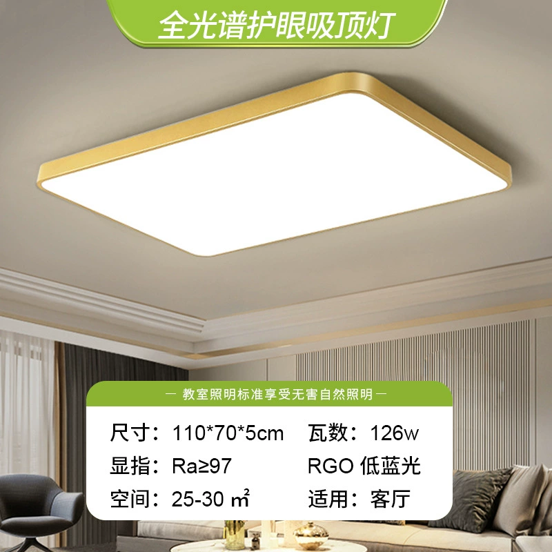 Golden LED ceiling light, lights for corridor, room light, light luxury style