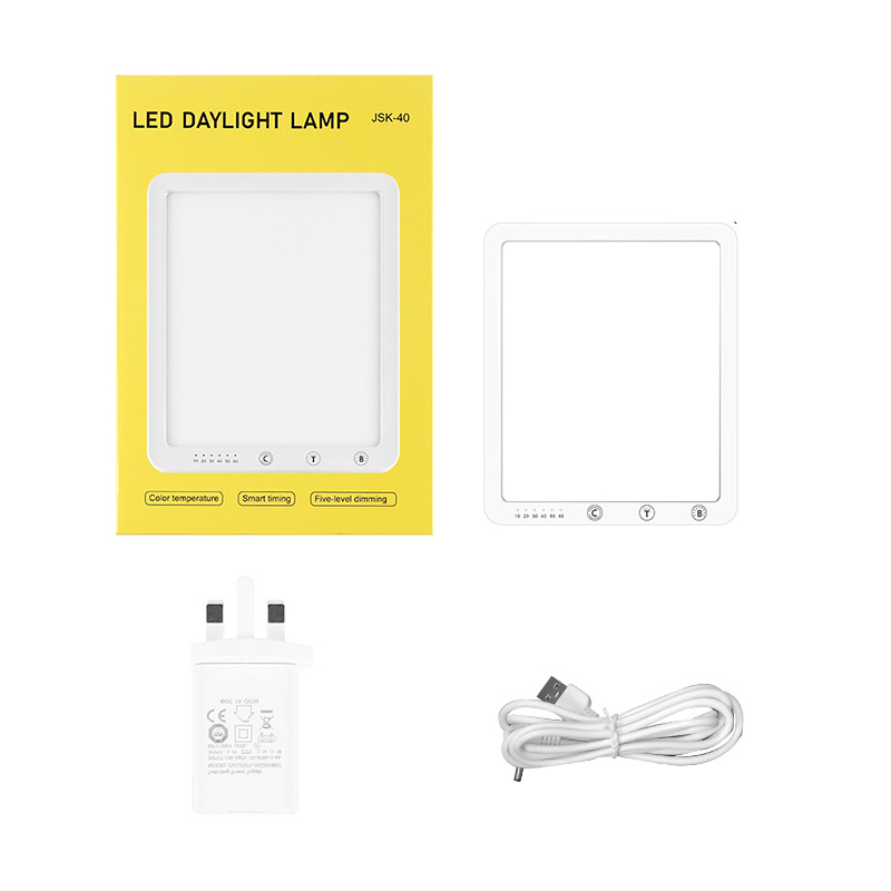 SK-40+USB-DC 케이블+5V2A 영국 표준