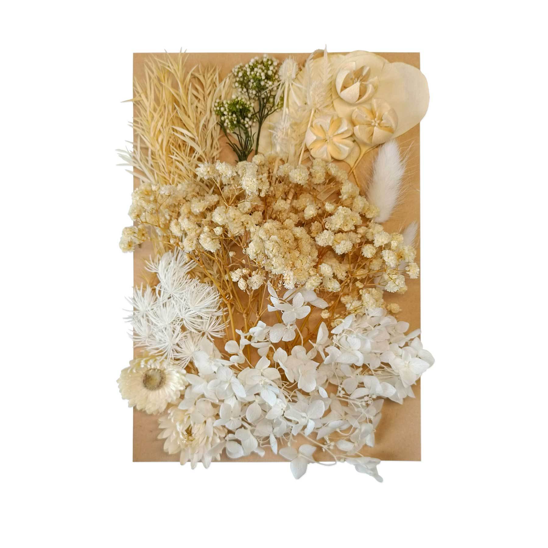 Flor seca flor eterna marco de fotos en relieve paquete de material combinación paquete de flores aromaterapia ventilador A5 bolsa de fábrica al por mayor transfronteriza