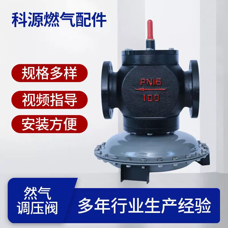 燃气减压阀 调压器天然气减压阀工业 天然气减压装置厂家供应防爆