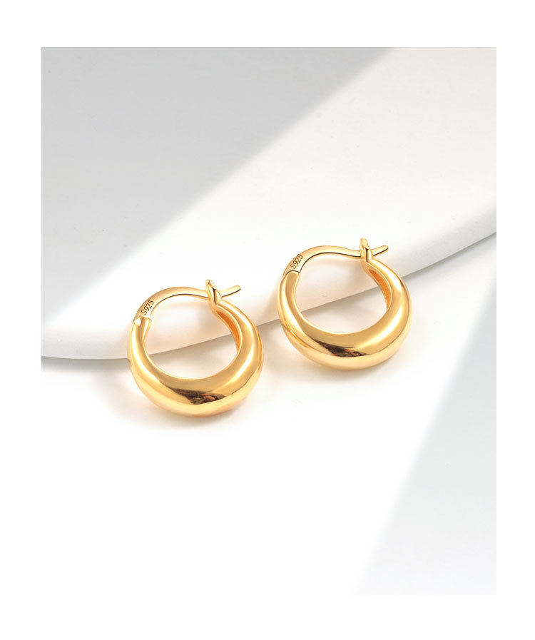 Women's Gender 1 Pair 925 Sterling Silver 925 Sterling Silver Earrings U Shape Earrings