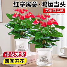 �ؼ��t�ư�������һ���L혻���ֲ�����\���^�ļ������҃Ⱥ��B�Gֲ