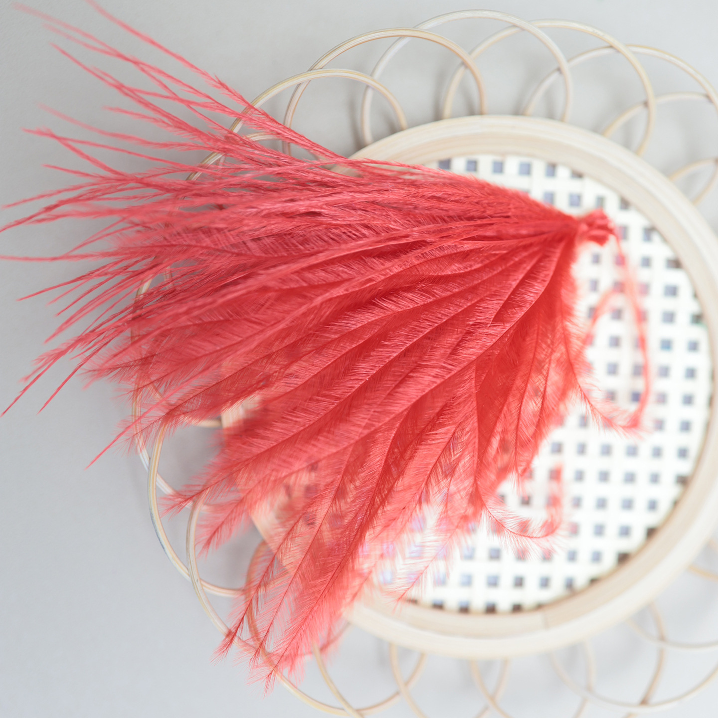Fábrica directa pequeña serie de plumas rojas DIY accesorios accesorios de artesanía ropa accesorios escenario plumas