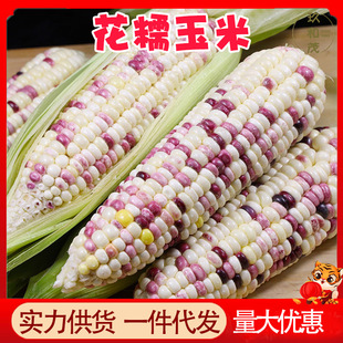 陇南玖和茂商贸有限公司