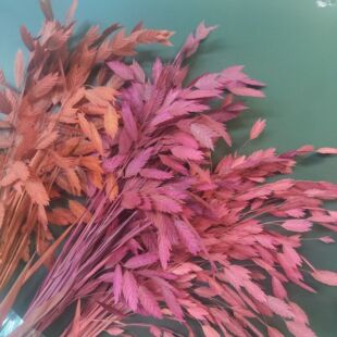 ������С�β���ɫ���L���L��ݸɻ�diy��Ҿ��b��ջ�����ɫ��