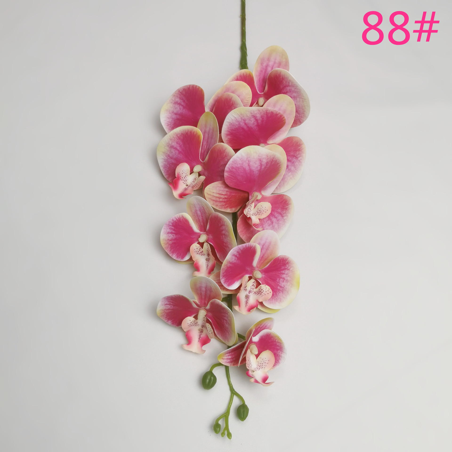 IMG_20220604_183637_副本